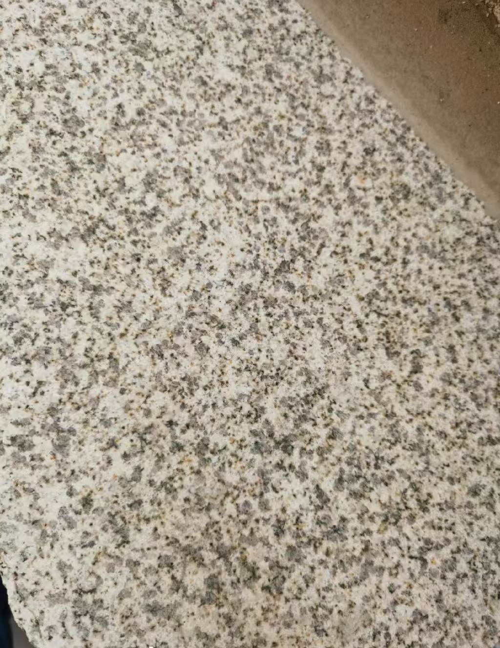 保山 黄金麻中黄光面